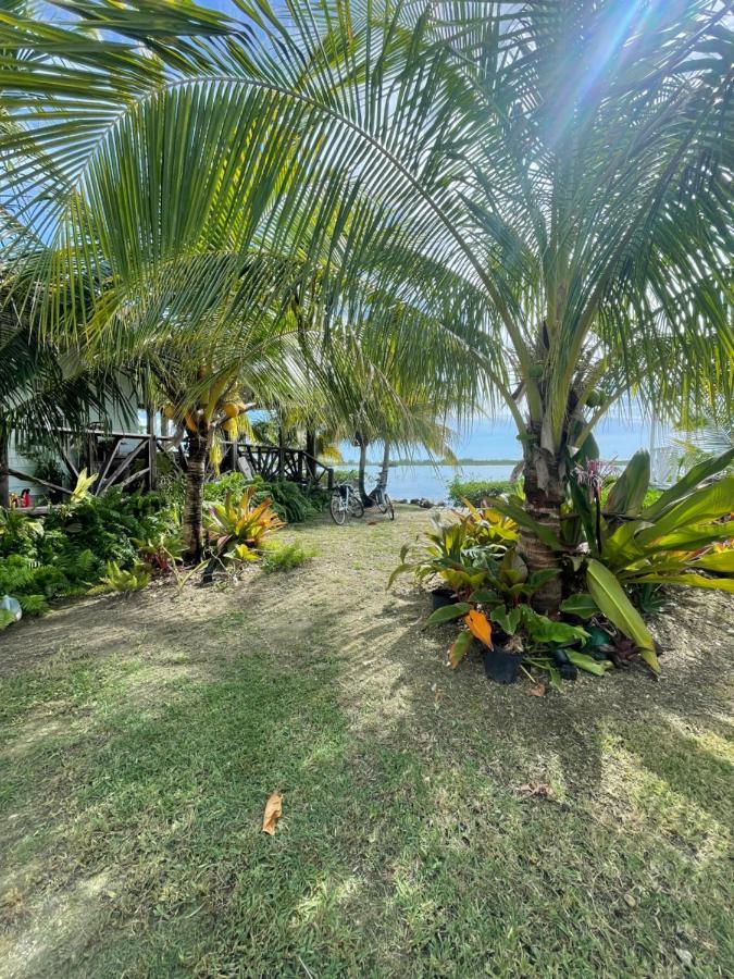 Hidden Paradise - * Nassau
