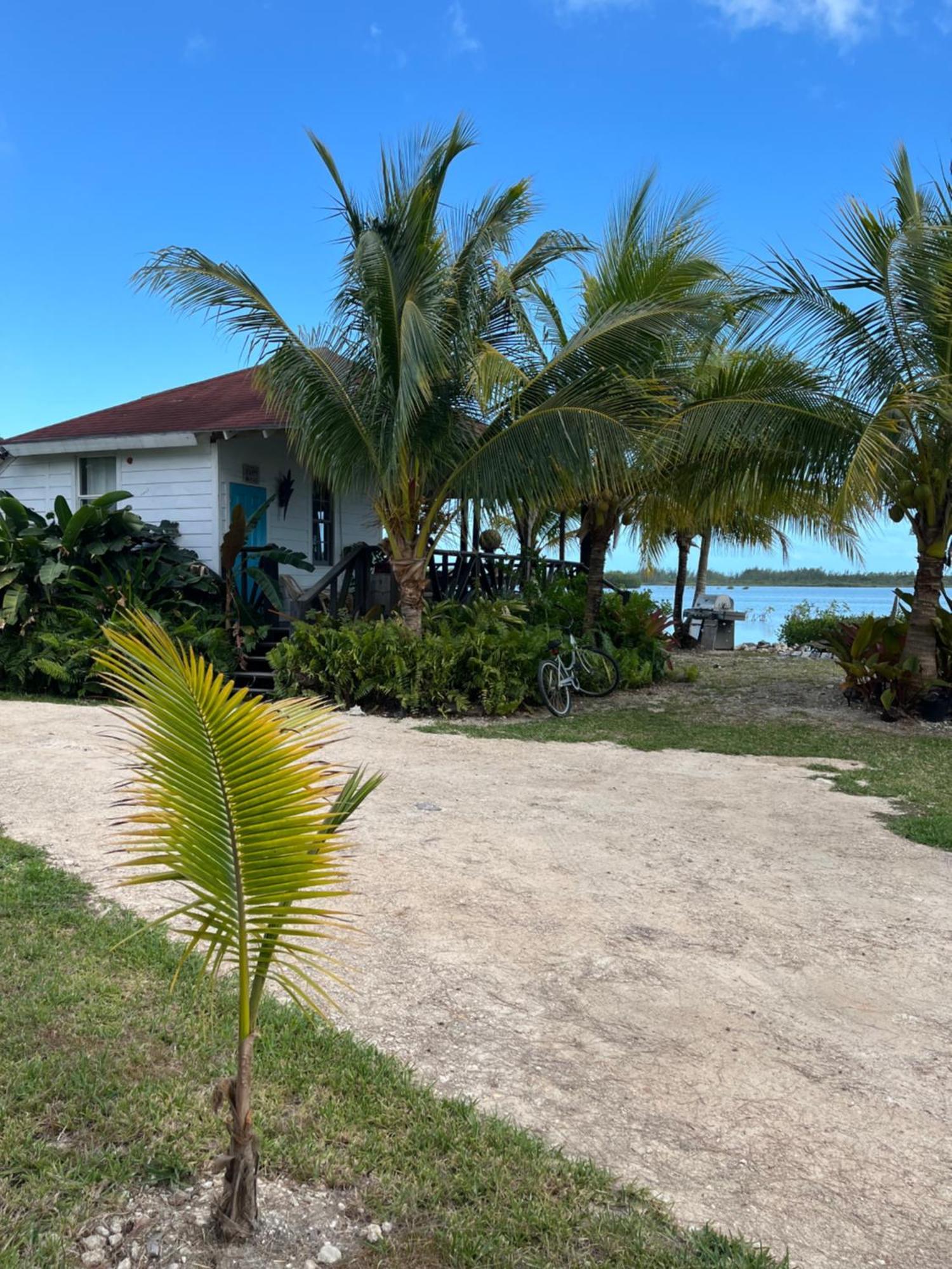Hidden Paradise - Nassau