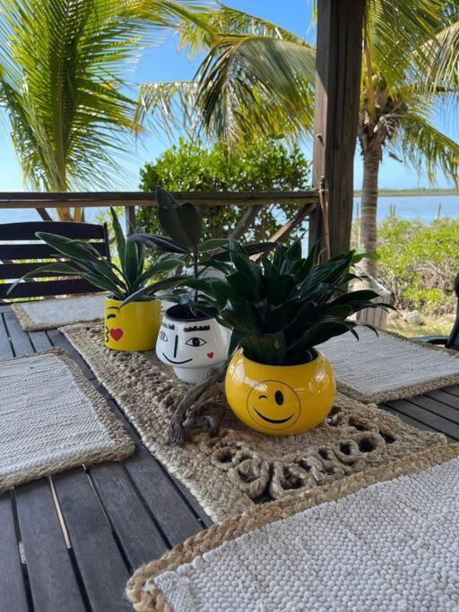 Holiday home Hidden Paradise - *